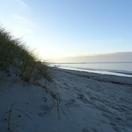 Apartment Seeblick, Blaumuschel